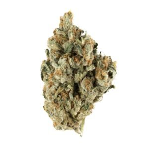 BENJI STRAIN UK | Buy Premium Benji Weed Strain UK