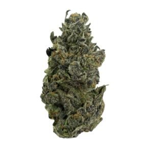 NORTHERN LIGHTS STRAIN UK