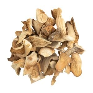 OYSTER DRIED MUSHROOM UK | OYSTER MAGIC DRIED MUSHROOM UK