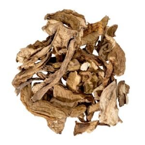 SHIITAKE DRIED MUSHROOM UK | SHIITAKE MAGIC MUSHROOM FOR SALE